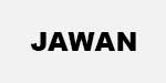 jawan